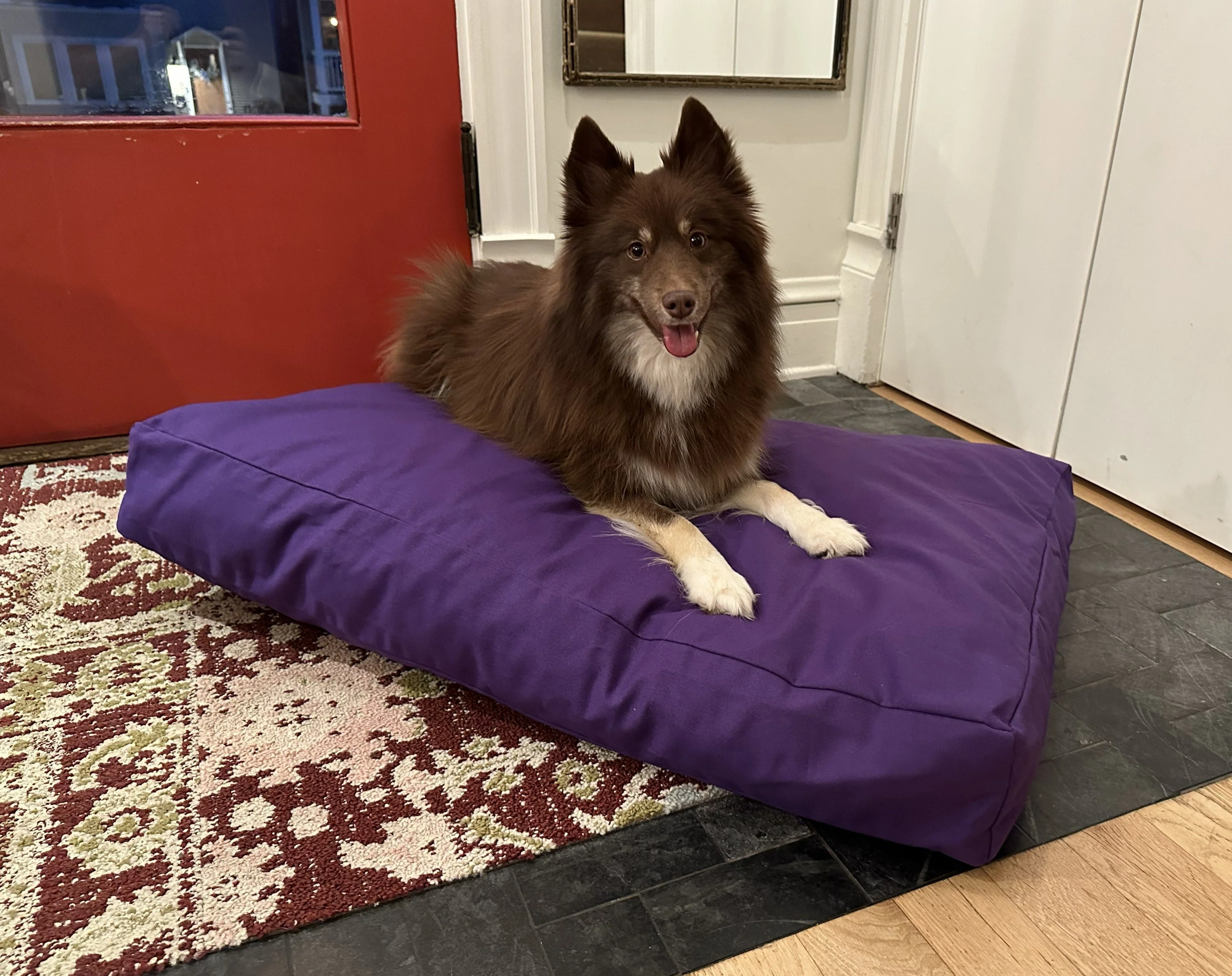 Cotton Duck Canvas Dog Bed - Lightweight CertiPUR Foam Fill - Image 4