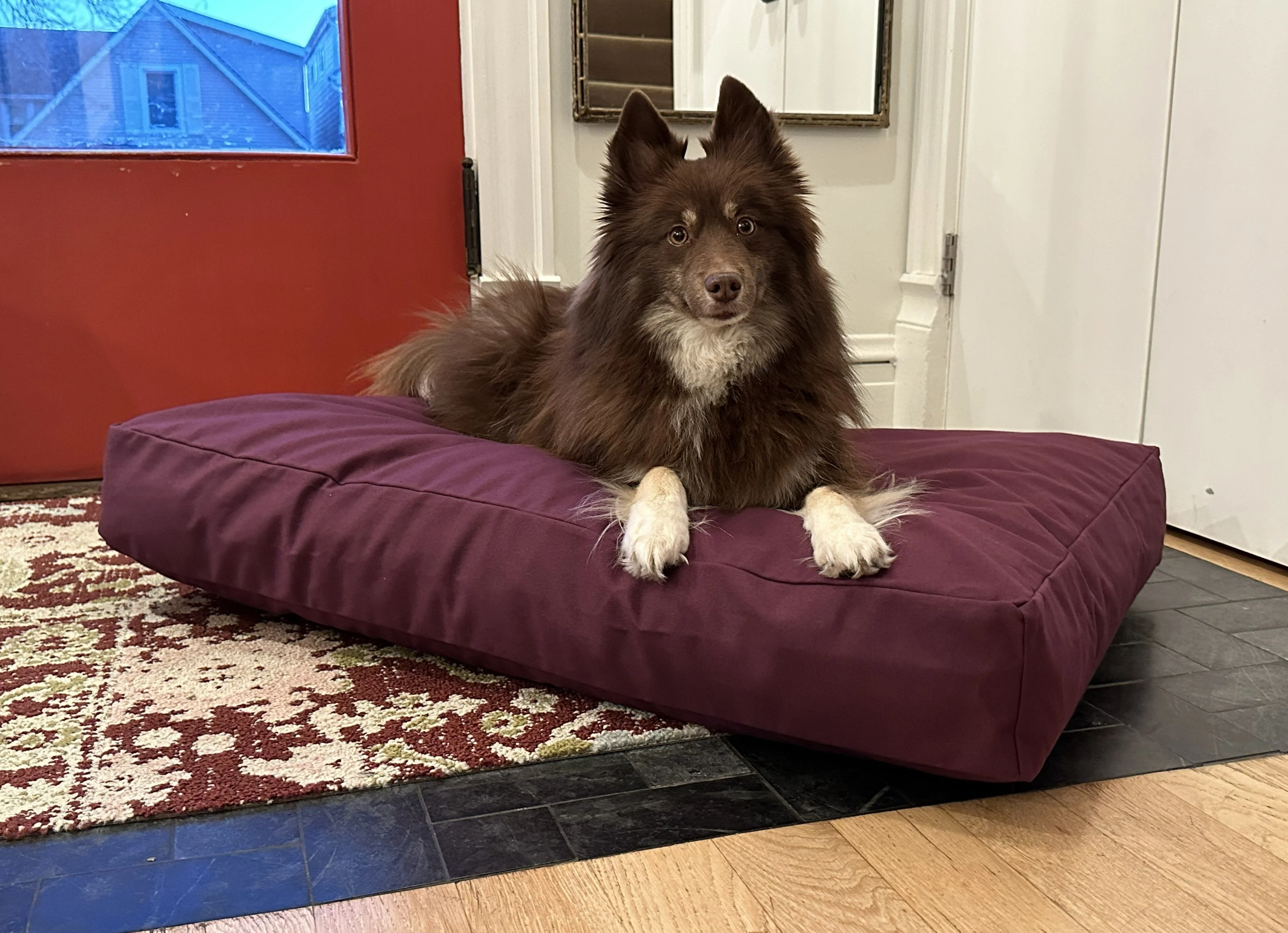 Cotton Duck Canvas Dog Bed - Lightweight CertiPUR Foam Fill - Image 7