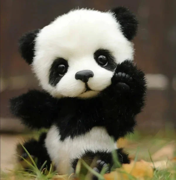 Cotton Plush Doll Black Bear Raccoon Toy - Image 2