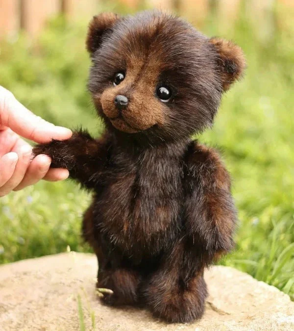 Cotton Plush Doll Black Bear Raccoon Toy - Image 4