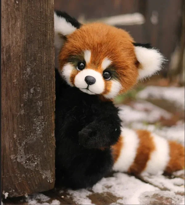 Cotton Plush Doll Black Bear Raccoon Toy - Image 7