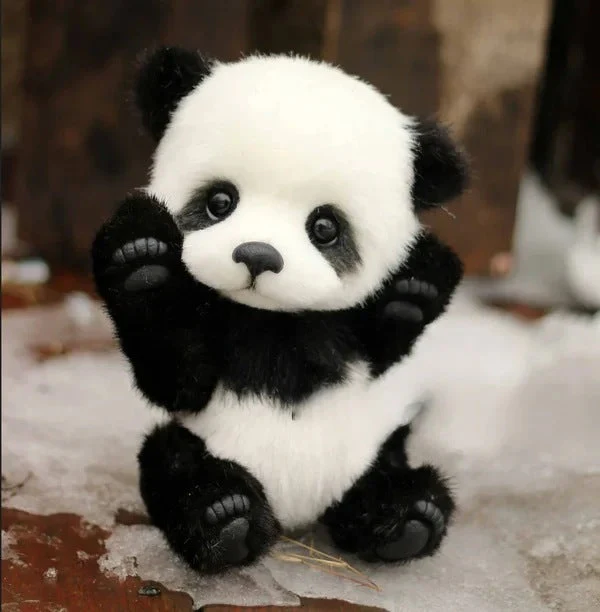 Cotton Plush Doll Black Bear Raccoon Toy - Image 8