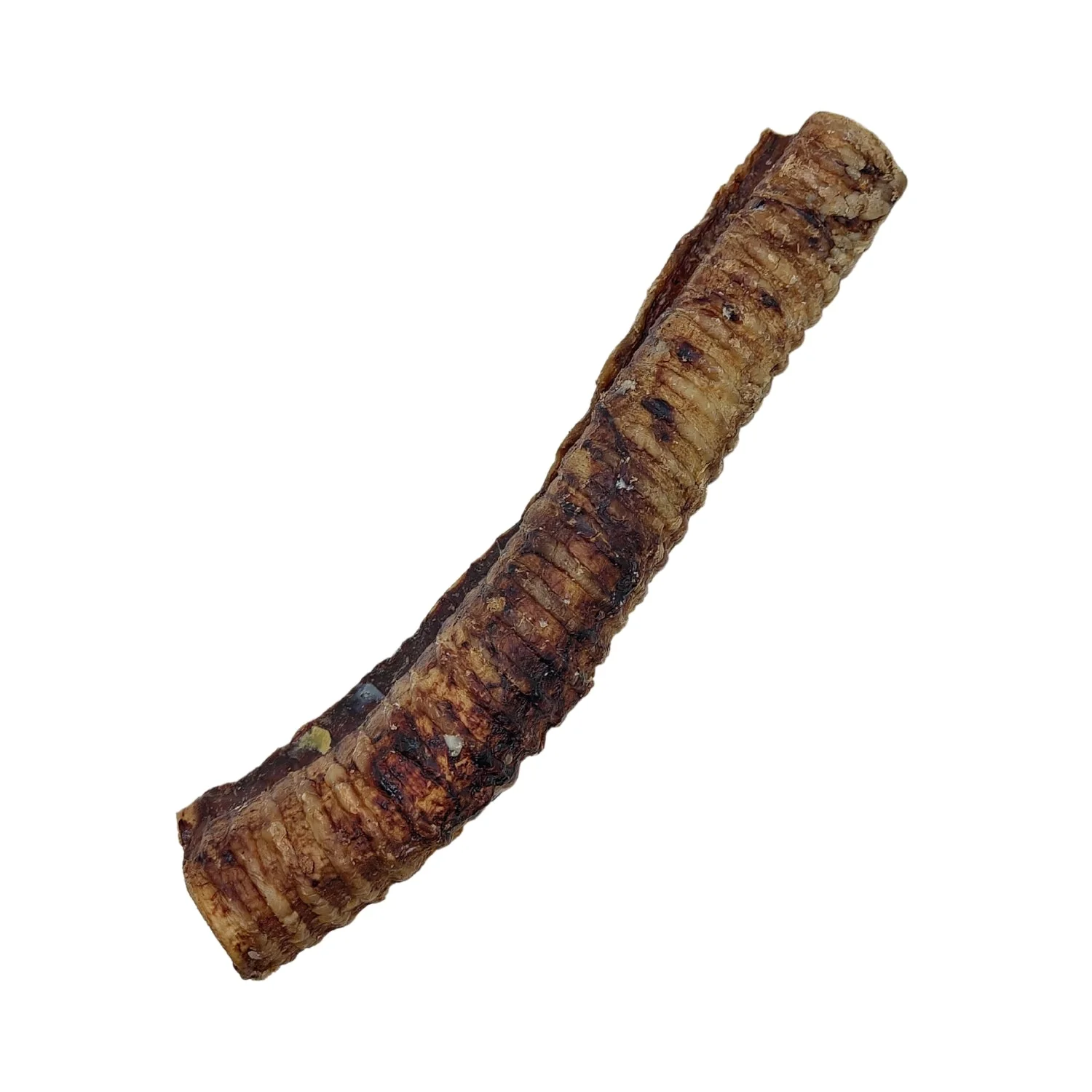 Country Living All-Natural Beef Trachea Dog Treats, Protein-Packed Chews – 12 Inches (5-Pack) - Image 3