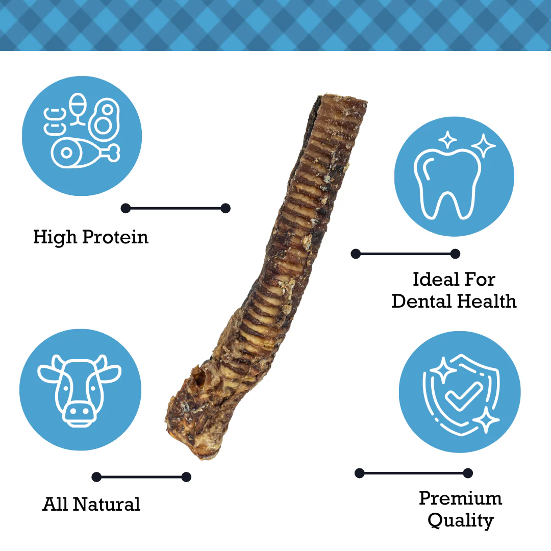 Country Living All-Natural Beef Trachea Dog Treats, Protein-Packed Chews – 12 Inches (5-Pack) - Image 5