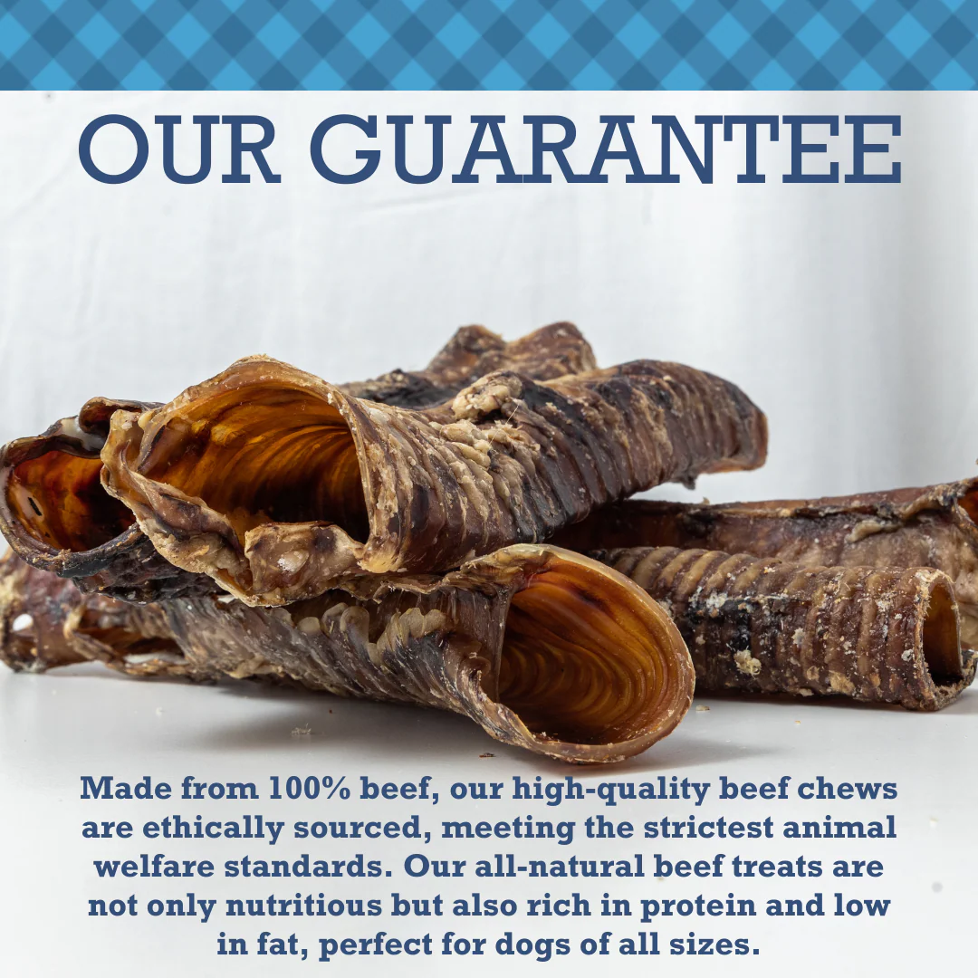 Country Living All-Natural Beef Trachea Dog Treats, Protein-Packed Chews – 12 Inches (5-Pack) - Image 8