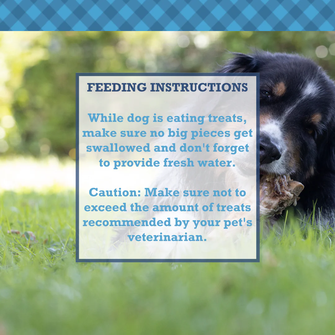 Country Living All-Natural Beef Trachea Dog Treats, Protein-Packed Chews – 12 Inches (5-Pack) - Image 9