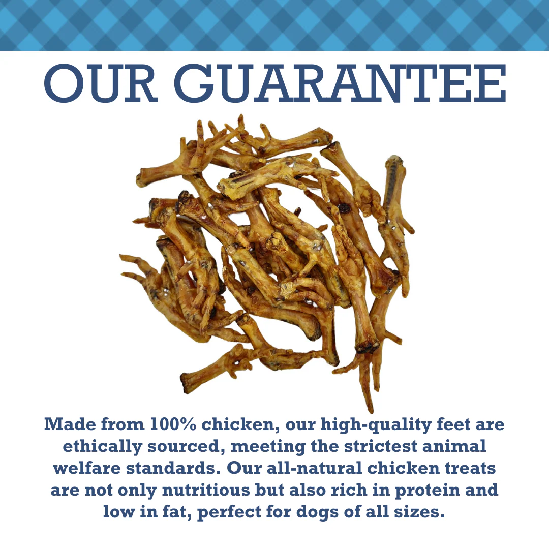 Country Living All-Natural Chicken Feet Dog Treats, Crunchy  Snacks for Joint Support – (20-Pack) - Image 8