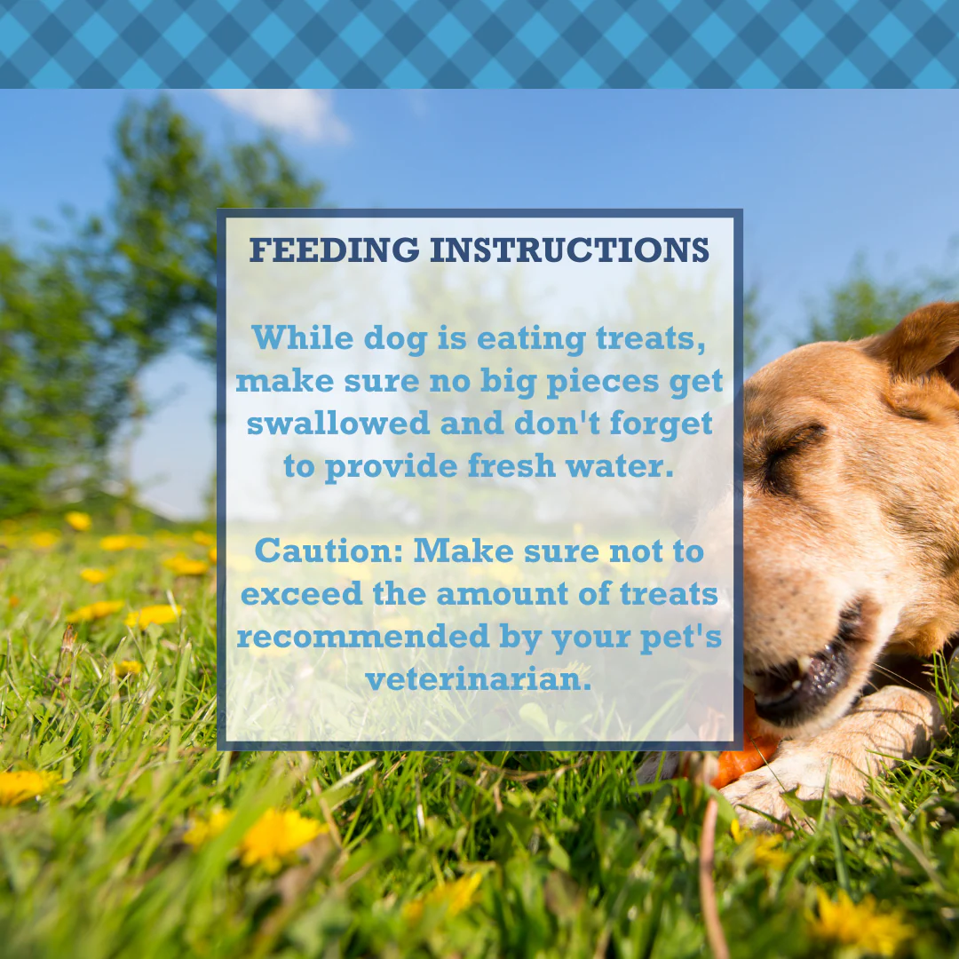 Country Living All-Natural Chicken Feet Dog Treats, Crunchy  Snacks for Joint Support – (20-Pack) - Image 9