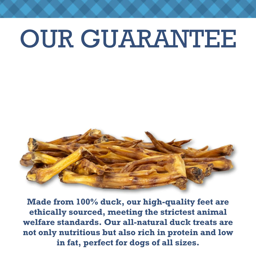 Country Living All-Natural Duck Feet Dog Treats – Crunchy, Long-Lasting Chews – (20-Pack) - Image 5