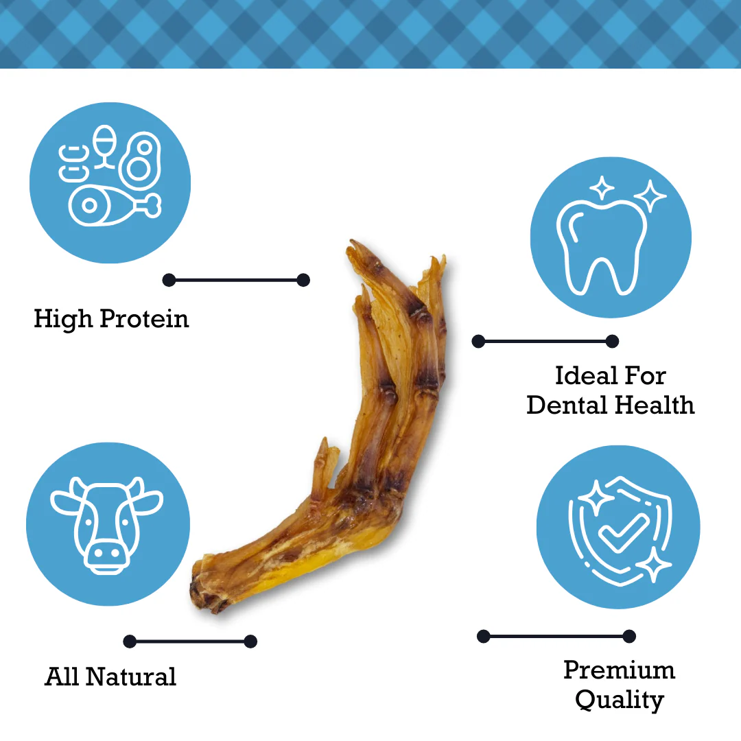 Country Living All-Natural Duck Feet Dog Treats – Crunchy, Long-Lasting Chews – (20-Pack) - Image 7