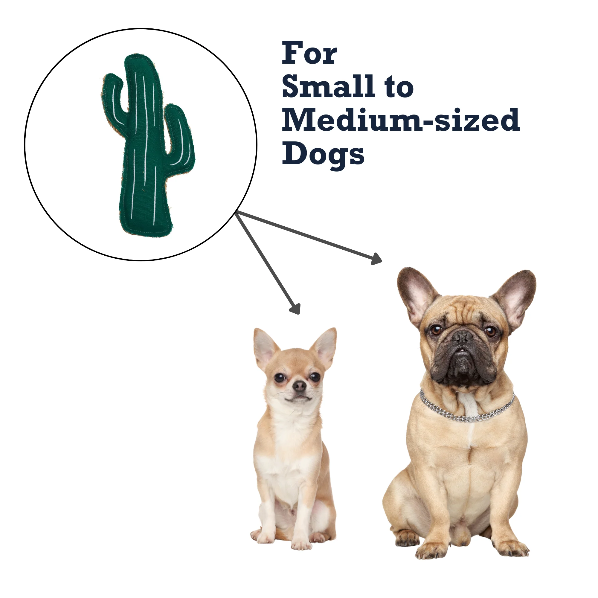 Country Living Canvas & Jute Cactus-Shaped Dog Chew Toy – Durable, Safe and Non-Toxic - Image 6