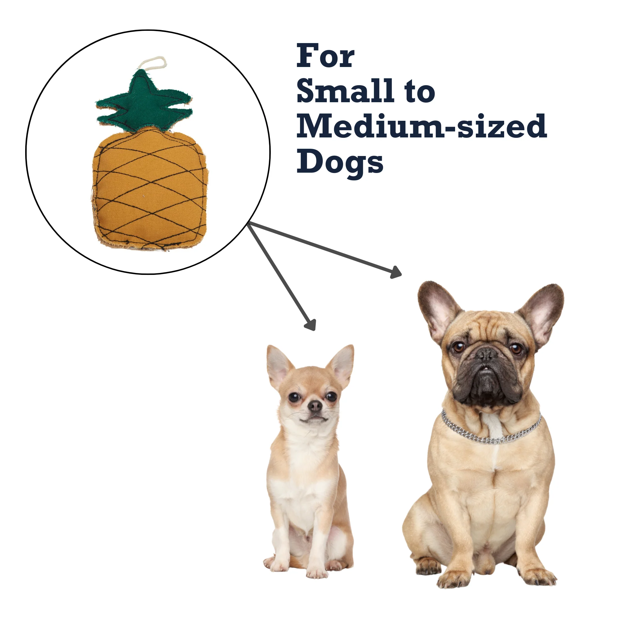 Country Living Canvas & Jute Pineapple-Shaped Dog Chew Toy – Durable, Safe and Non-Toxic - Image 7