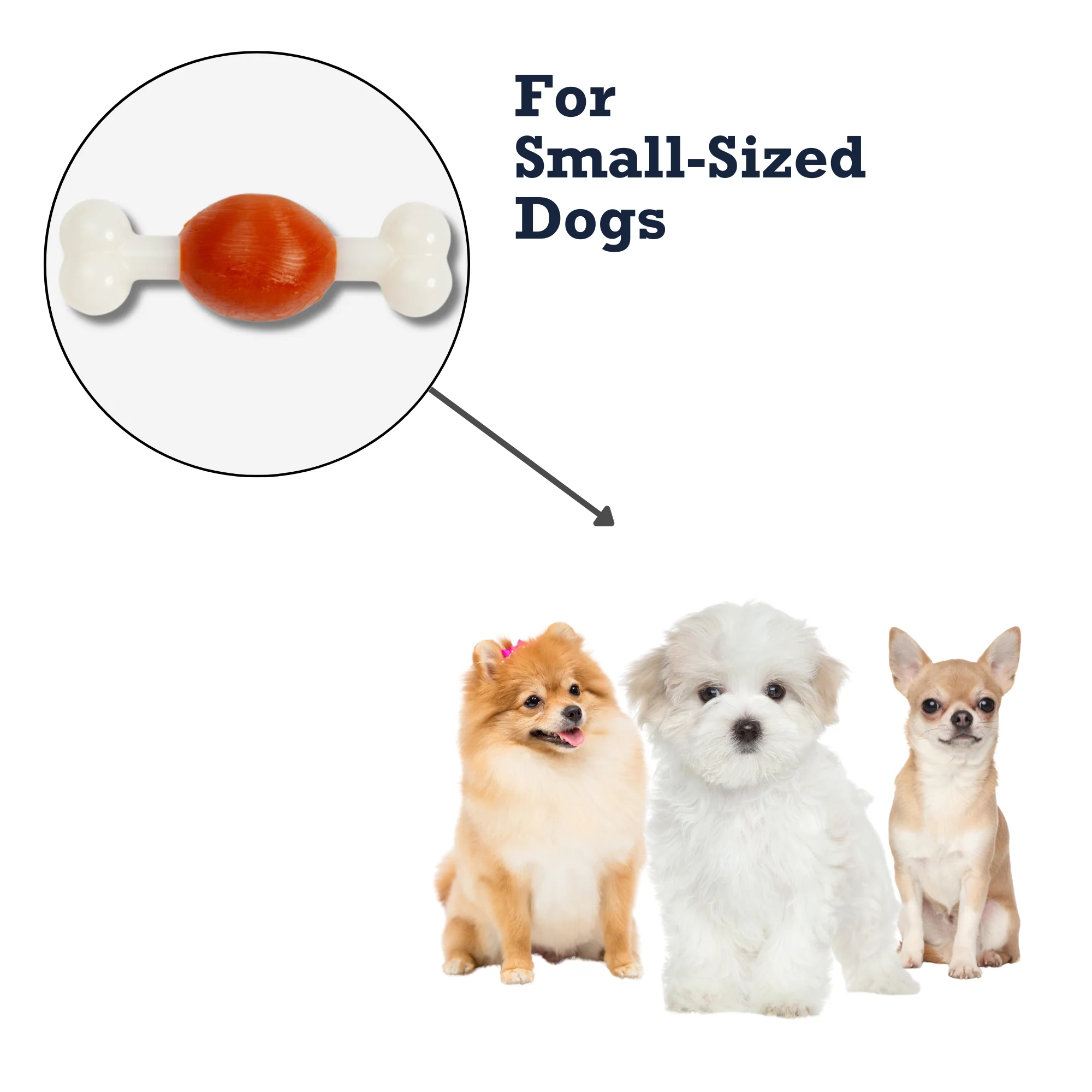Country Living TPR & Nylon Bone Dog Chew Toy - Beef-Flavored, Ideal for Small Dogs - Image 6