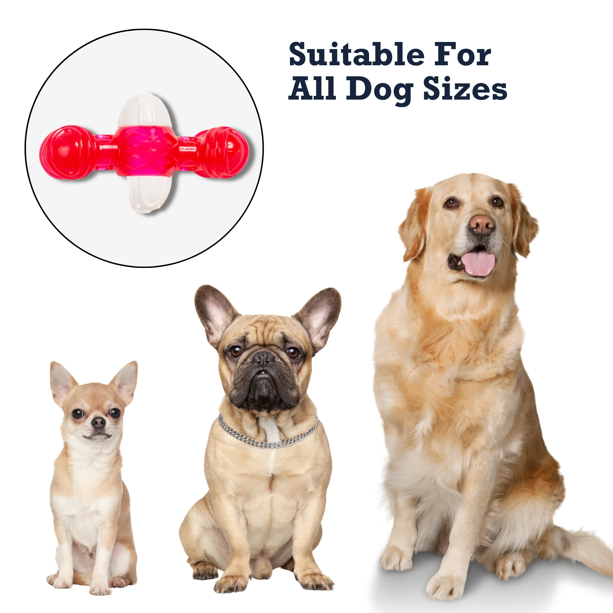 Country Living TPR & Nylon Quacker Bone Chew Toy for Dogs – with Engaging Quacking Sound - Image 8