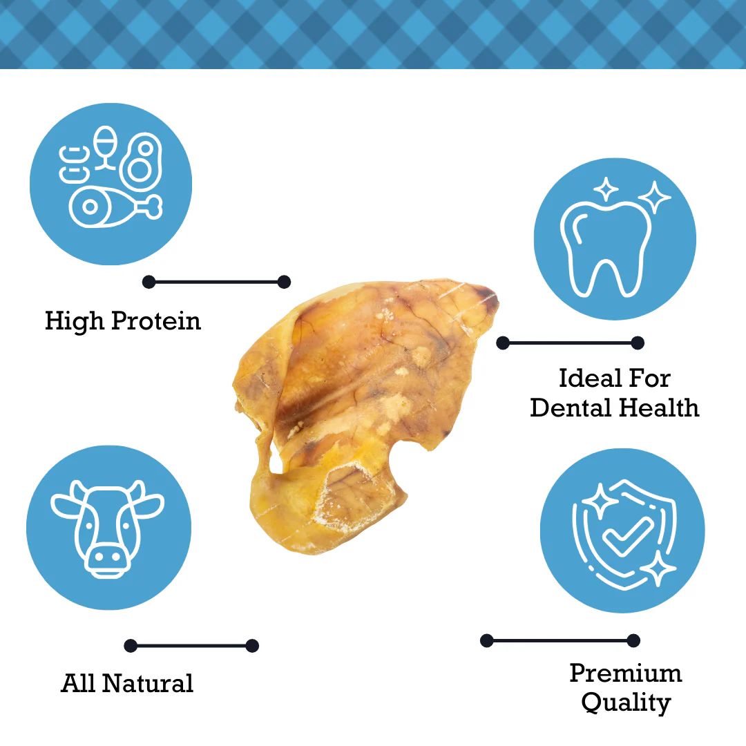Country Living Whole Pig Ears Dog Treats – 100% Natural, Premium Pork Chews for Dental Care – (15-Pack) - Image 3