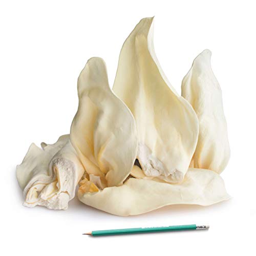 Cow Ears (15-Pack) - Image 2