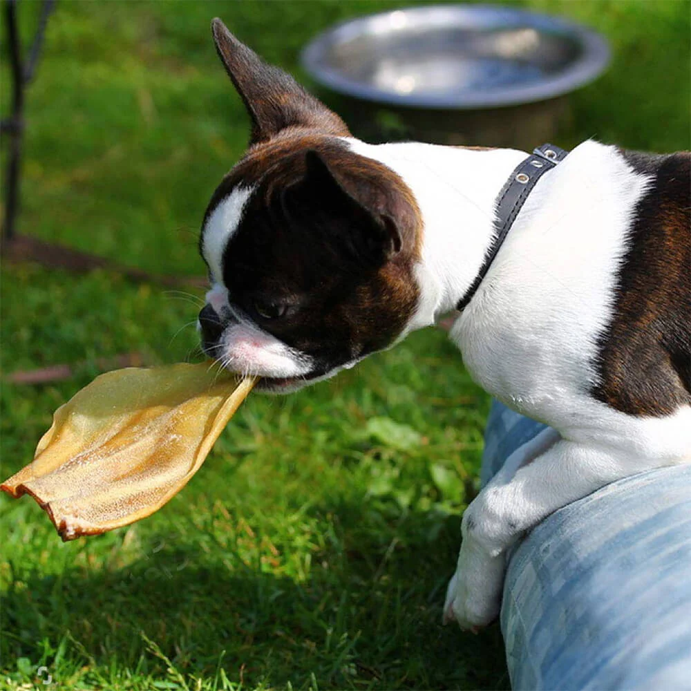 Cow Ears (15-Pack) - Image 4