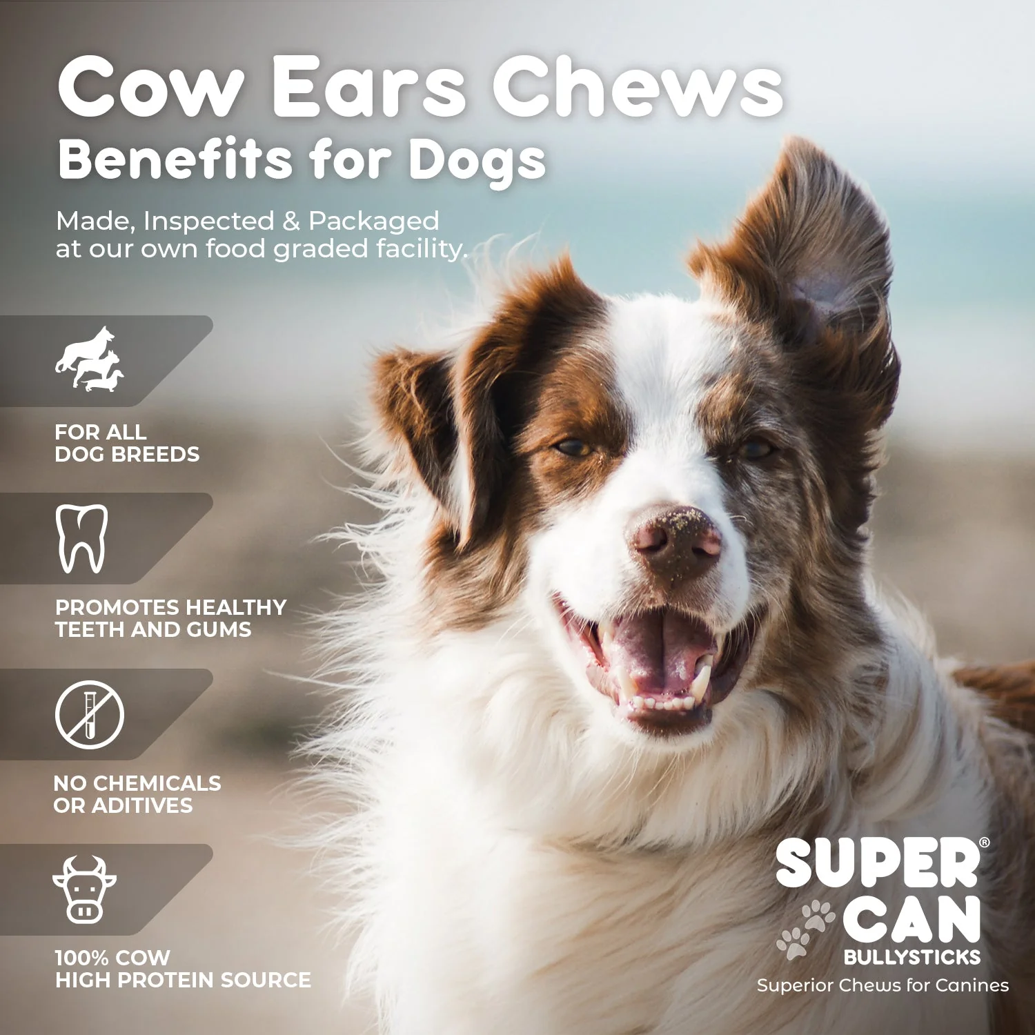 Cow Ears (15-Pack) - Image 5