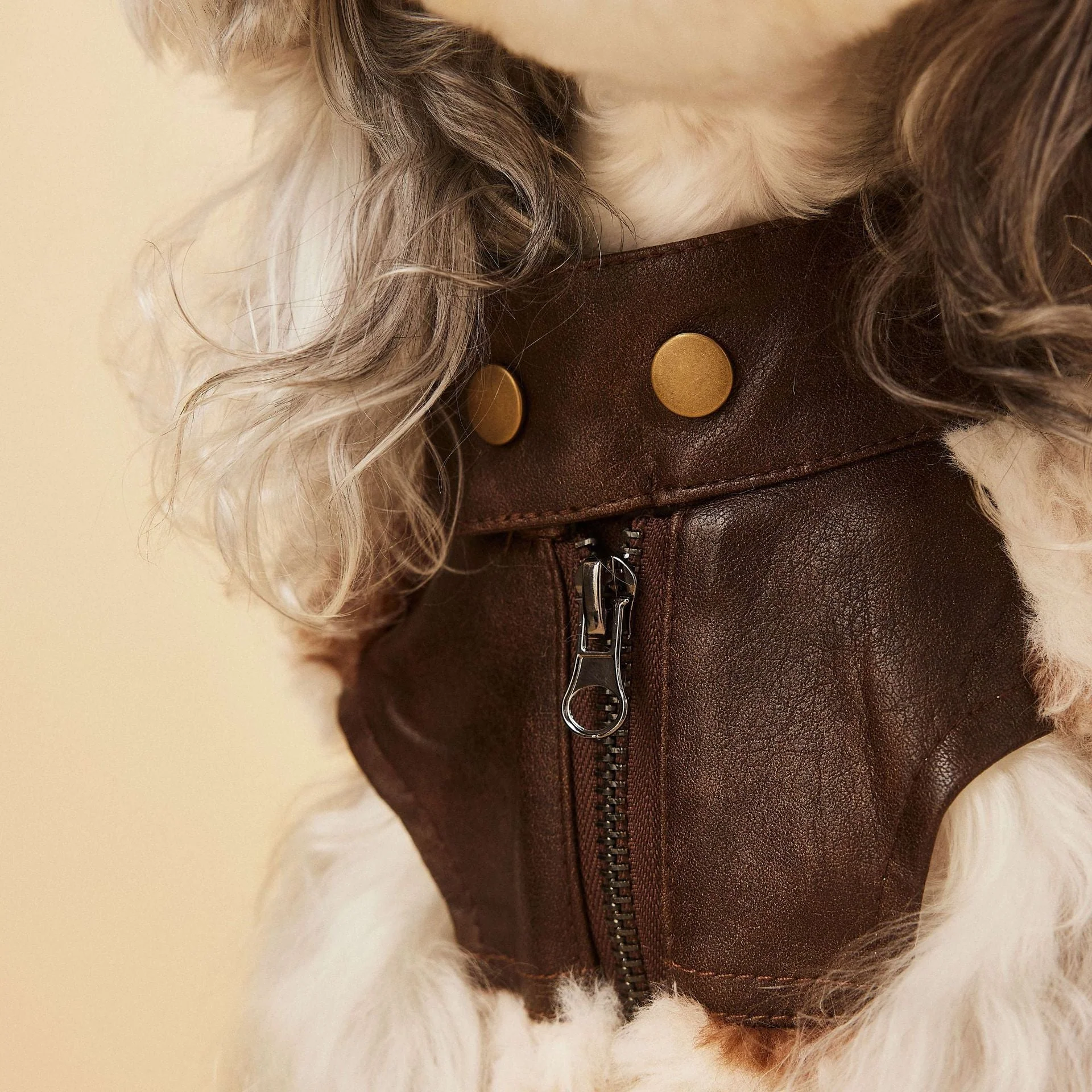 Cow Print Faux Shearling Dog Jacket - Image 2