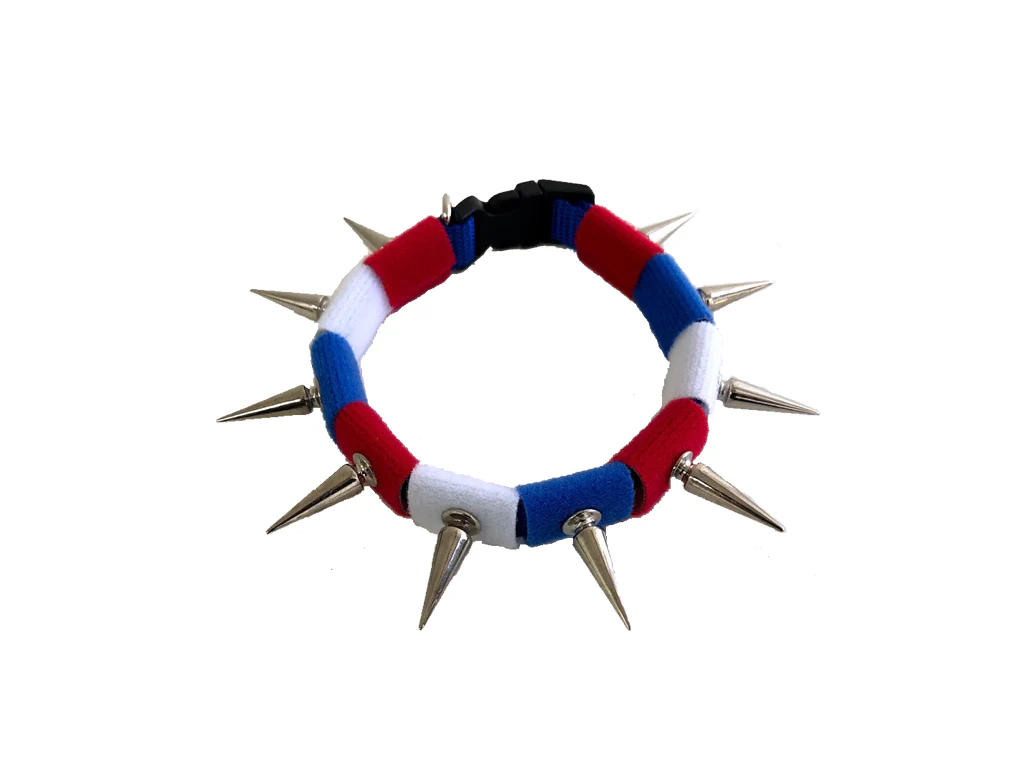 CoyoteCollar - Image 10