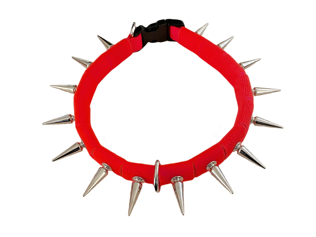 CoyoteCollar - Image 16
