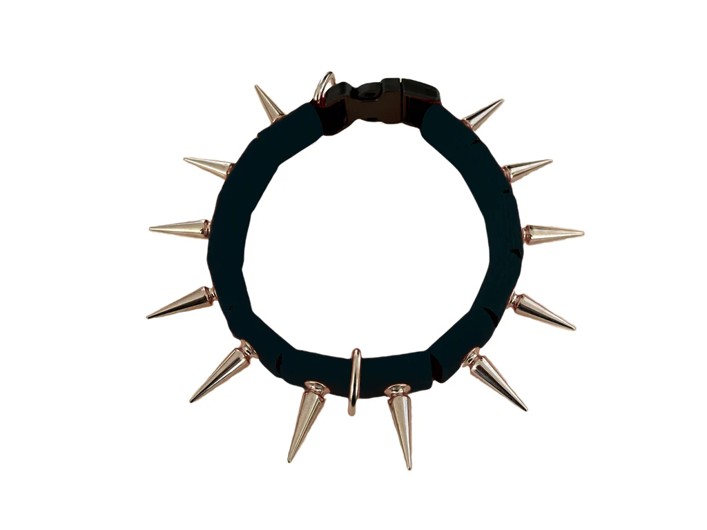 CoyoteCollar - Image 18