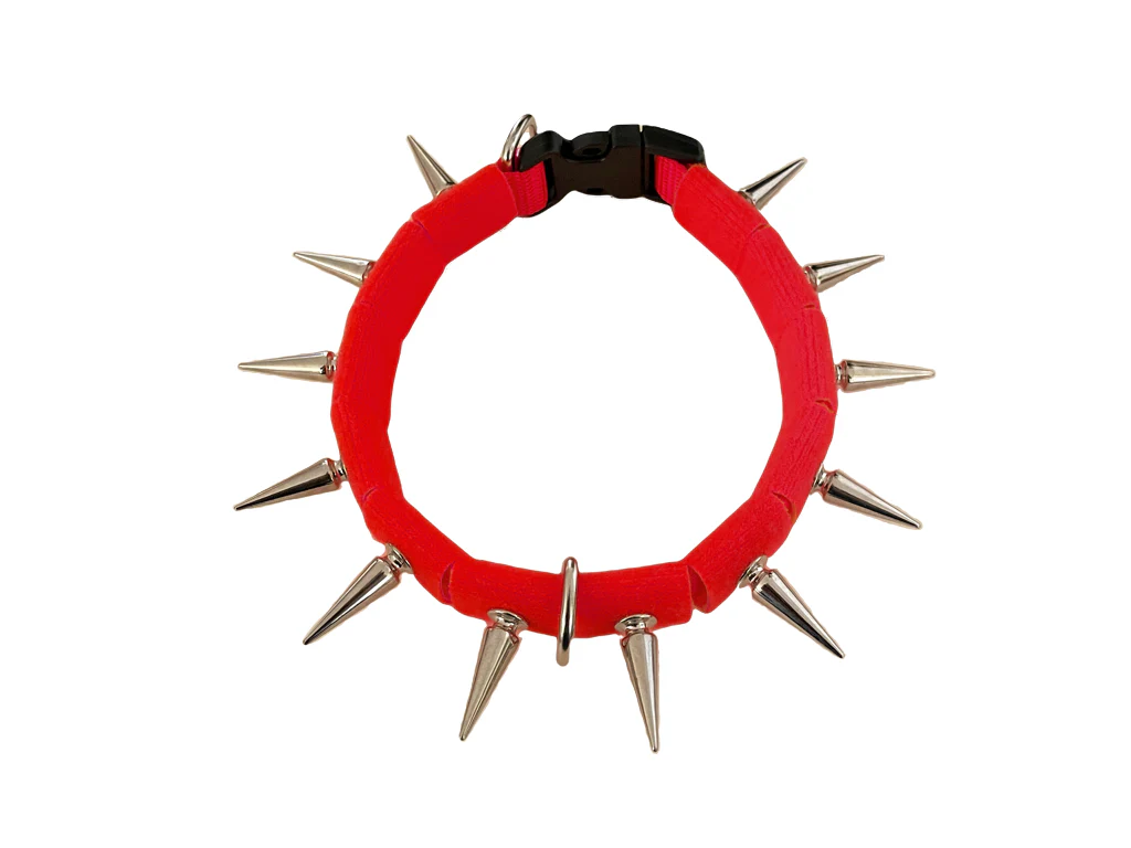 CoyoteCollar - Image 19