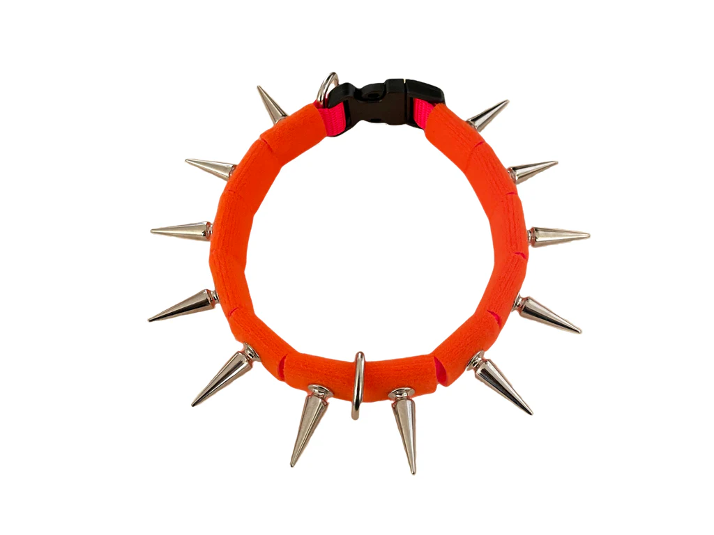 CoyoteCollar - Image 23