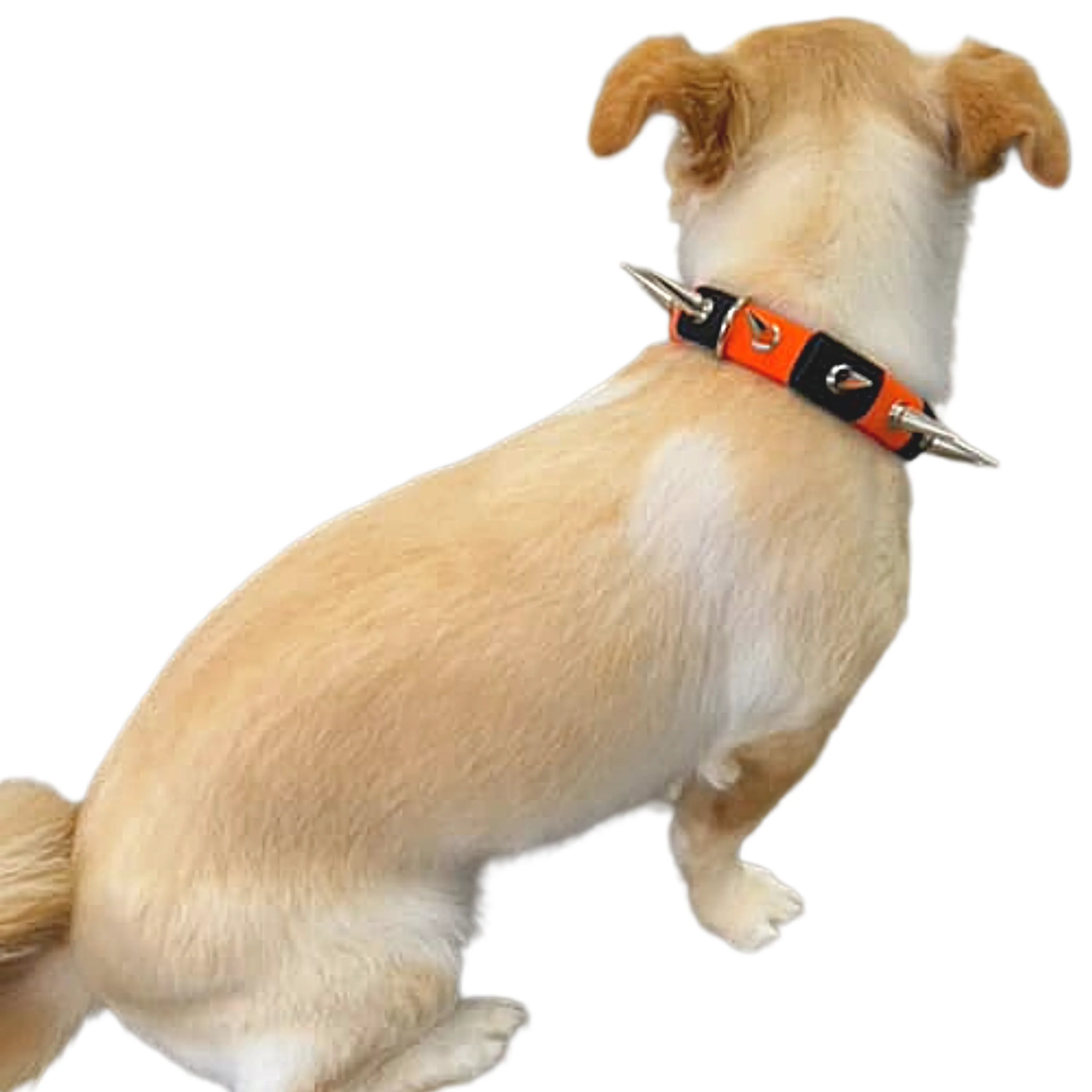 CoyoteCollar - Image 3