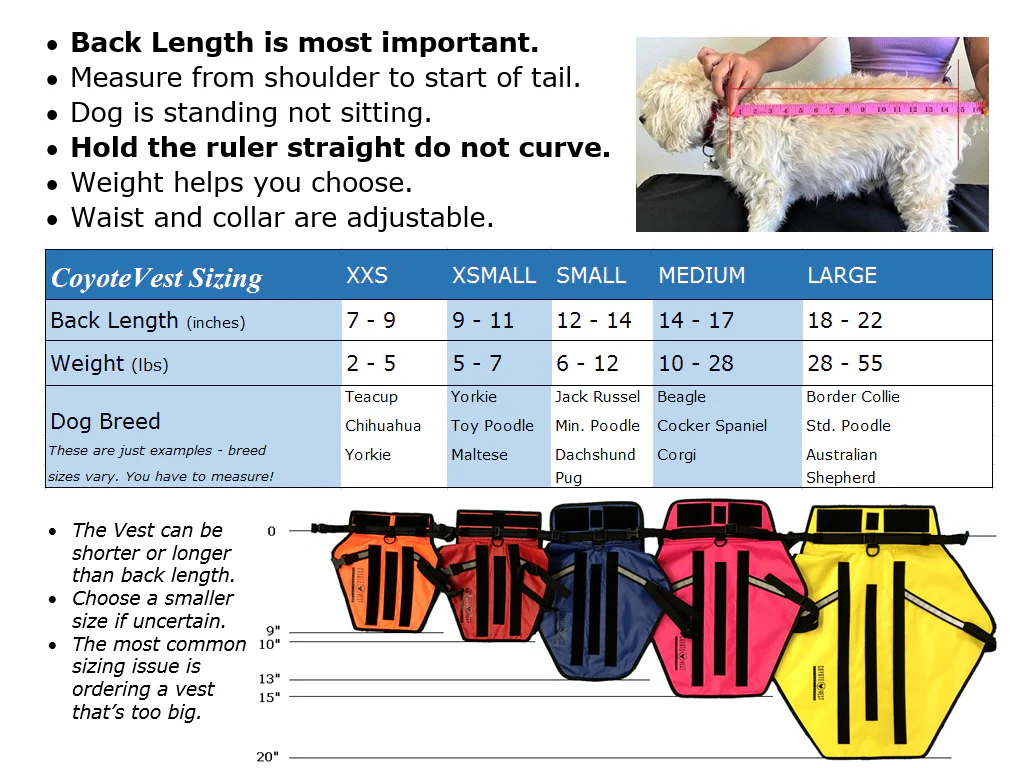 CoyoteVest - Image 3