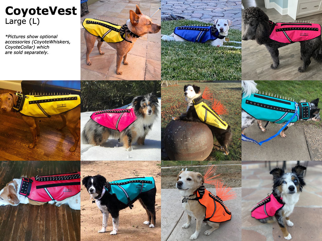 CoyoteVest - Image 9