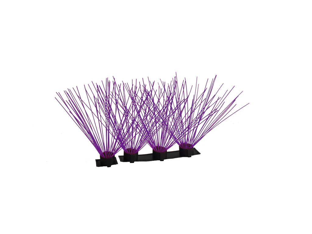 CoyoteWhiskers - Image 11