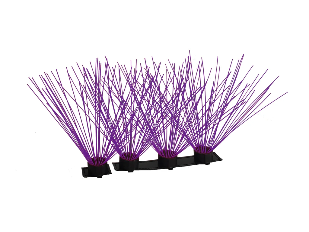 CoyoteWhiskers - Image 12