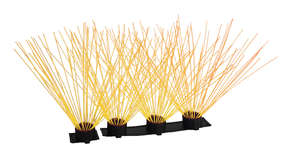 CoyoteWhiskers - Image 3