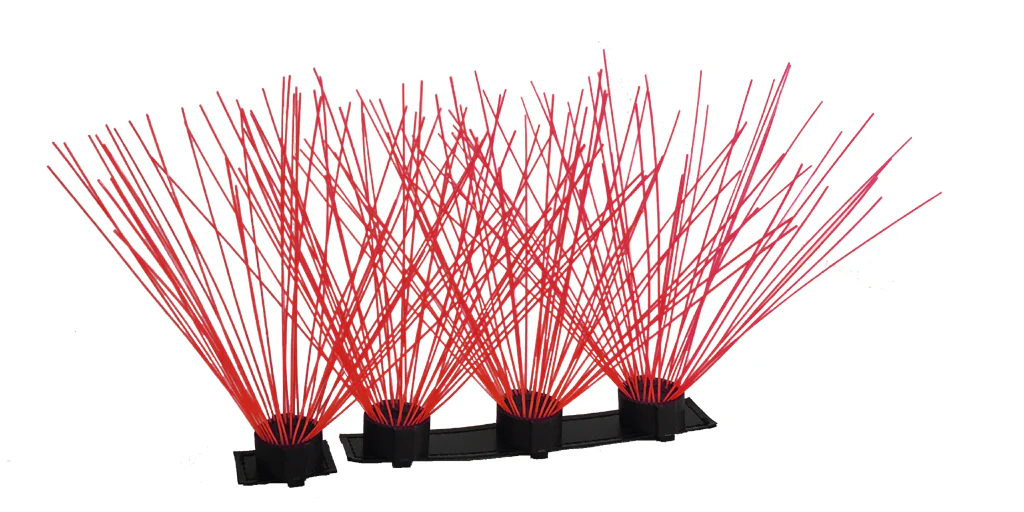 CoyoteWhiskers - Image 5