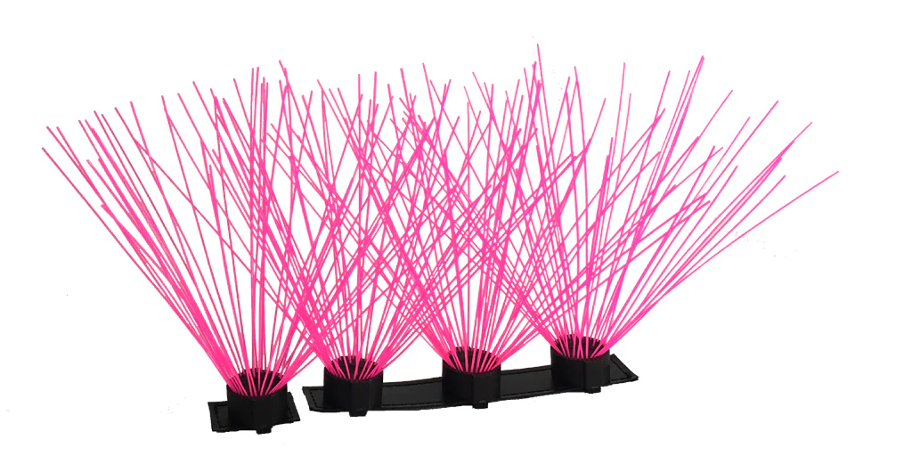 CoyoteWhiskers - Image 6