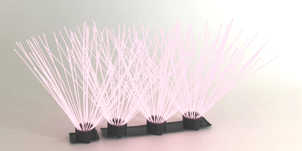 CoyoteWhiskers - Image 7