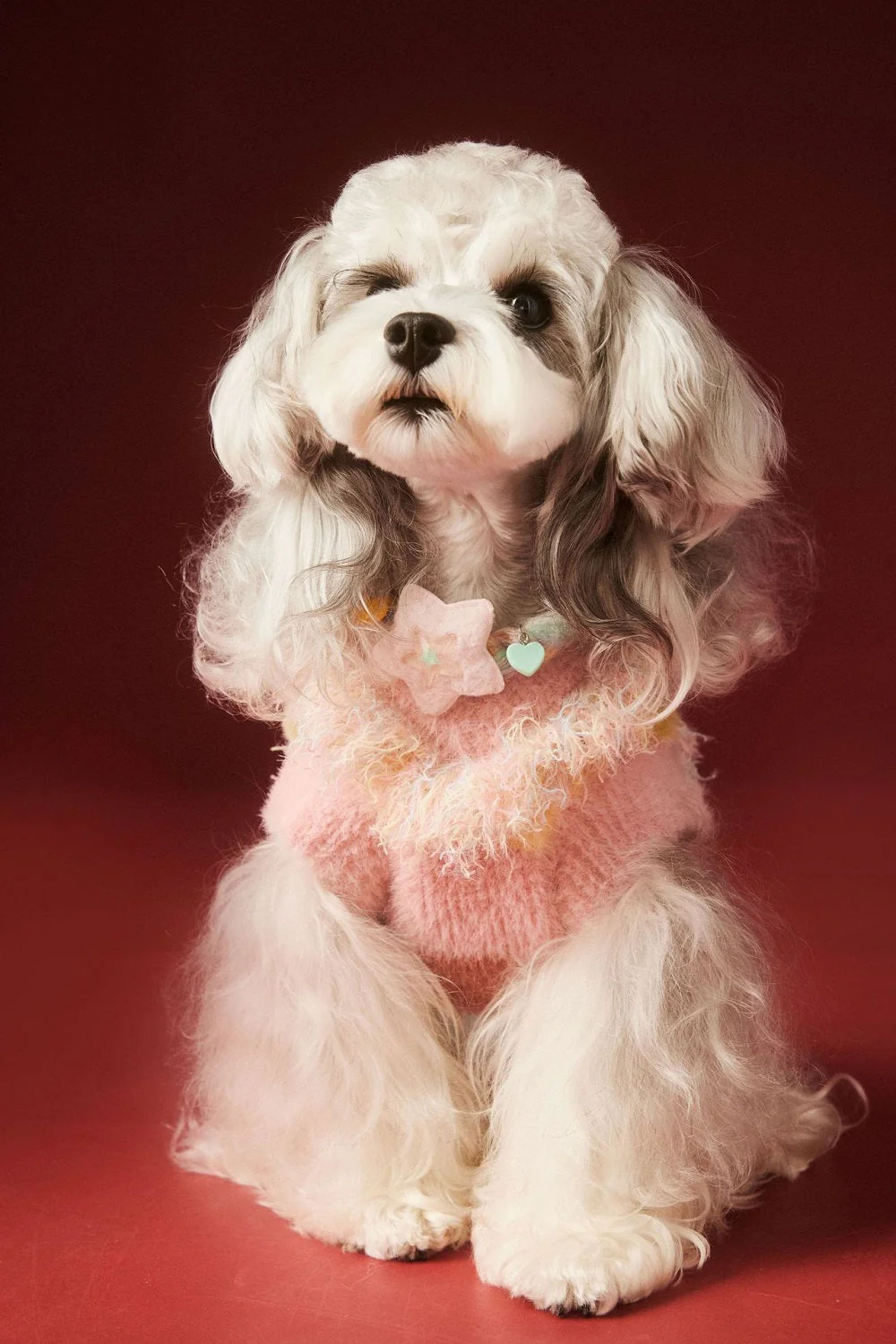 Cozy Heart Pet Sweater Dog Clothing - Image 5