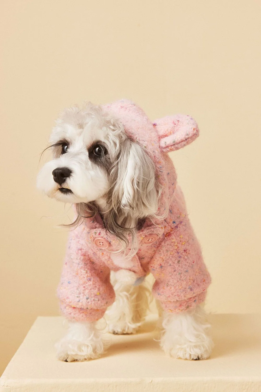 Cozy Knit Dog Sweater - Image 10