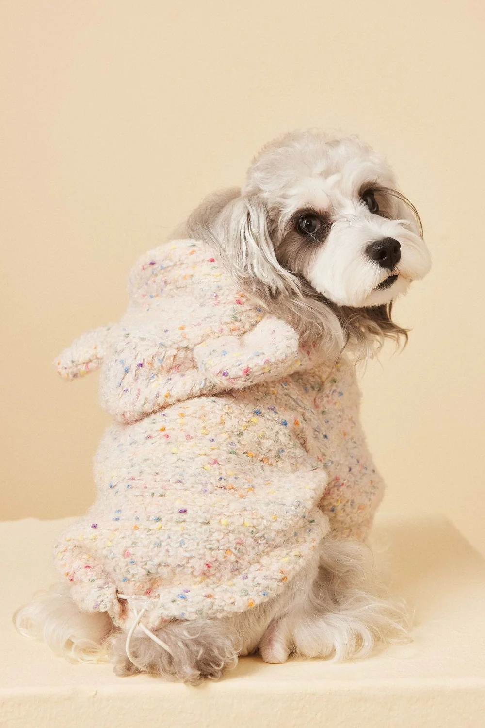 Cozy Knit Dog Sweater - Image 3