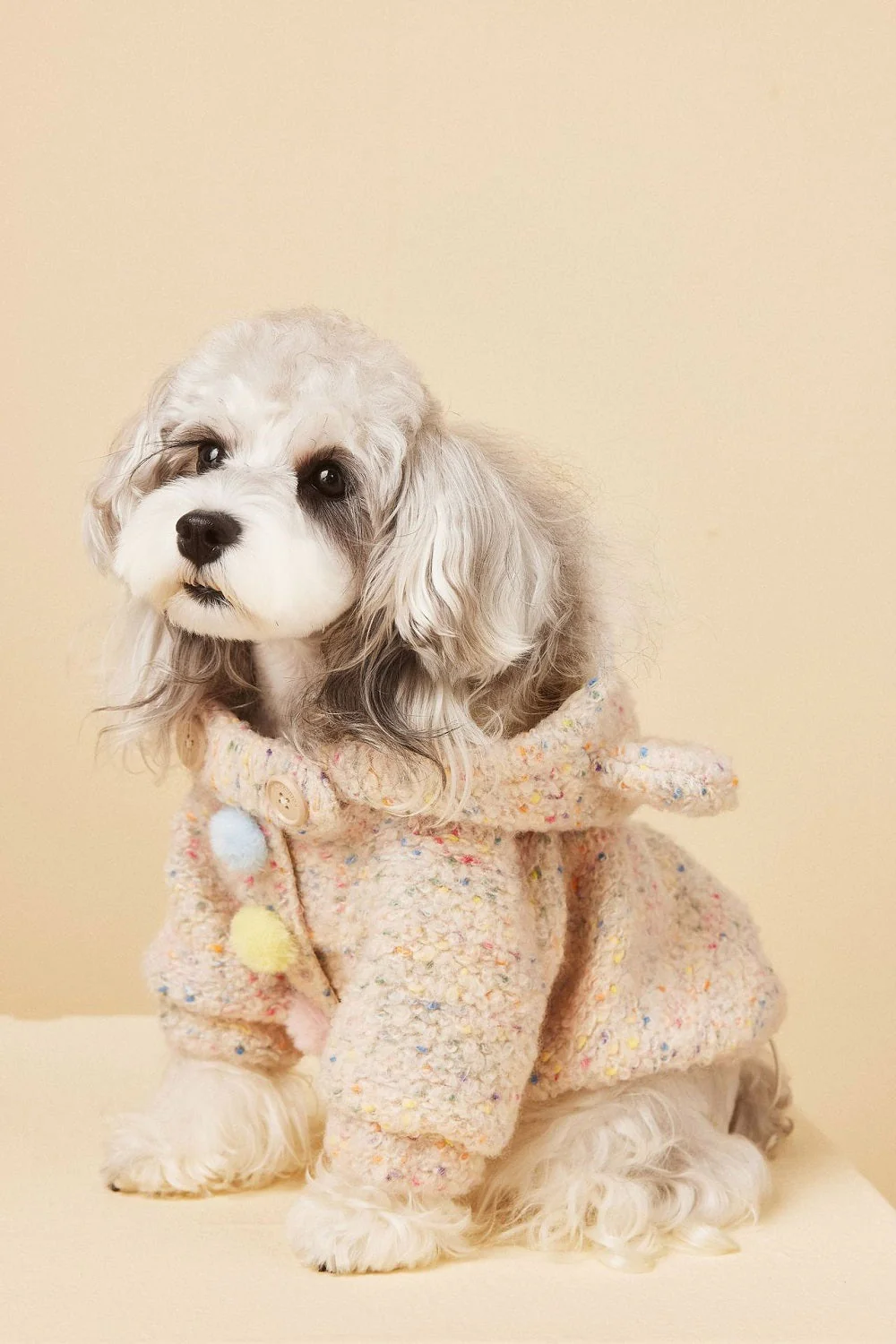 Cozy Knit Dog Sweater - Image 5