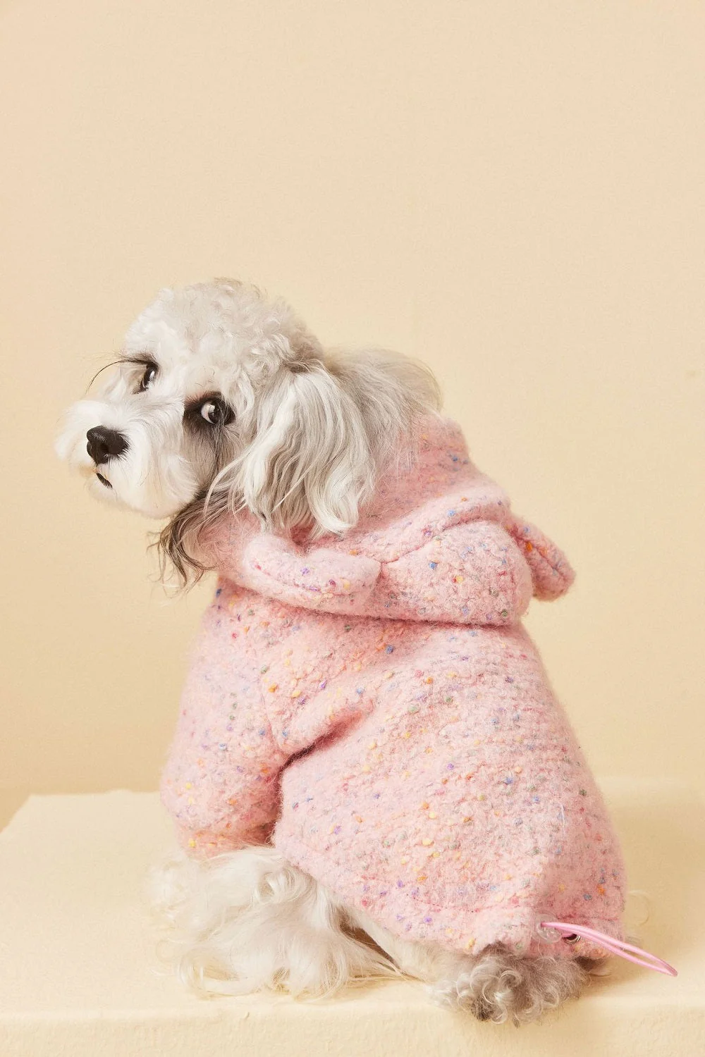 Cozy Knit Dog Sweater - Image 7
