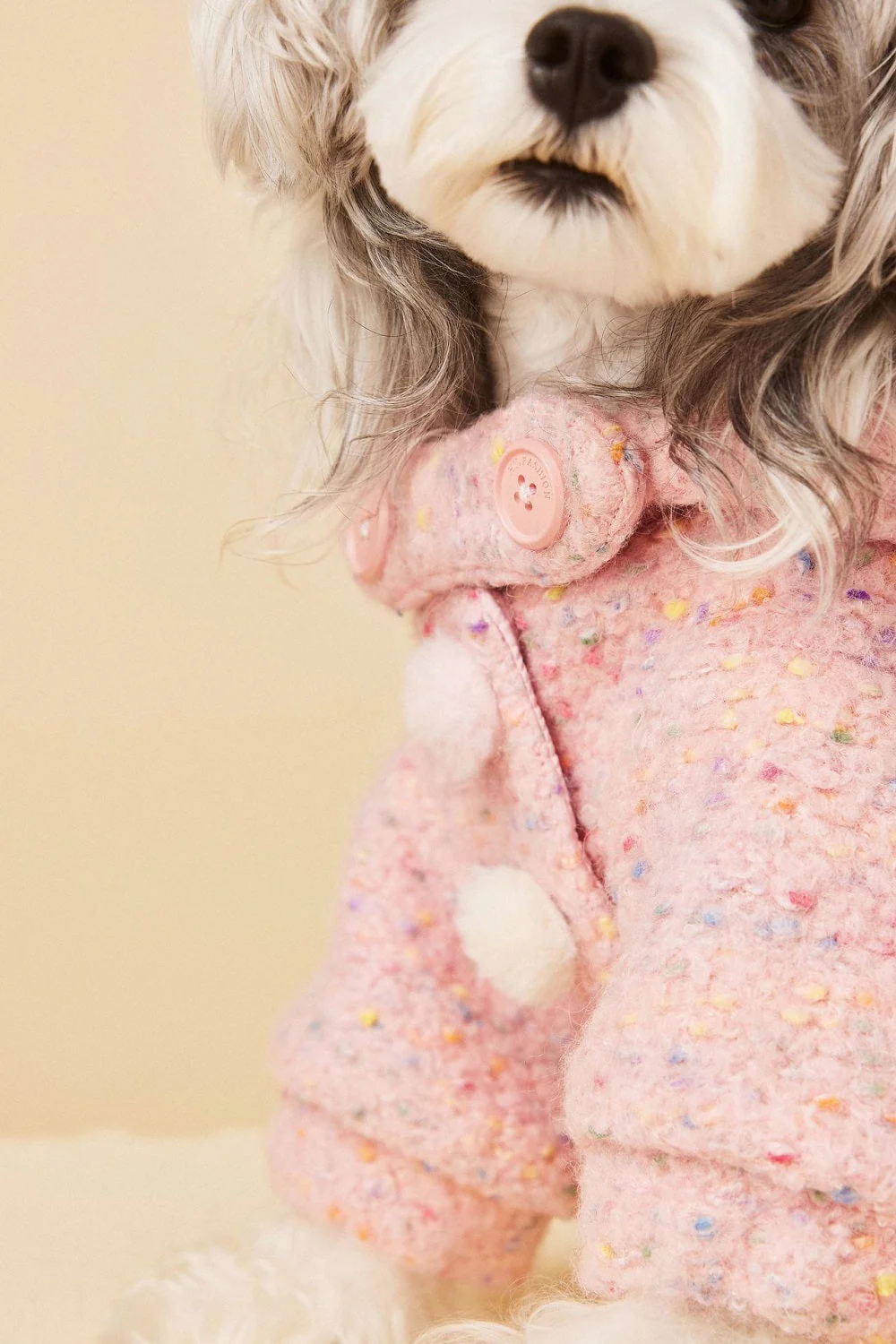 Cozy Knit Dog Sweater - Image 8