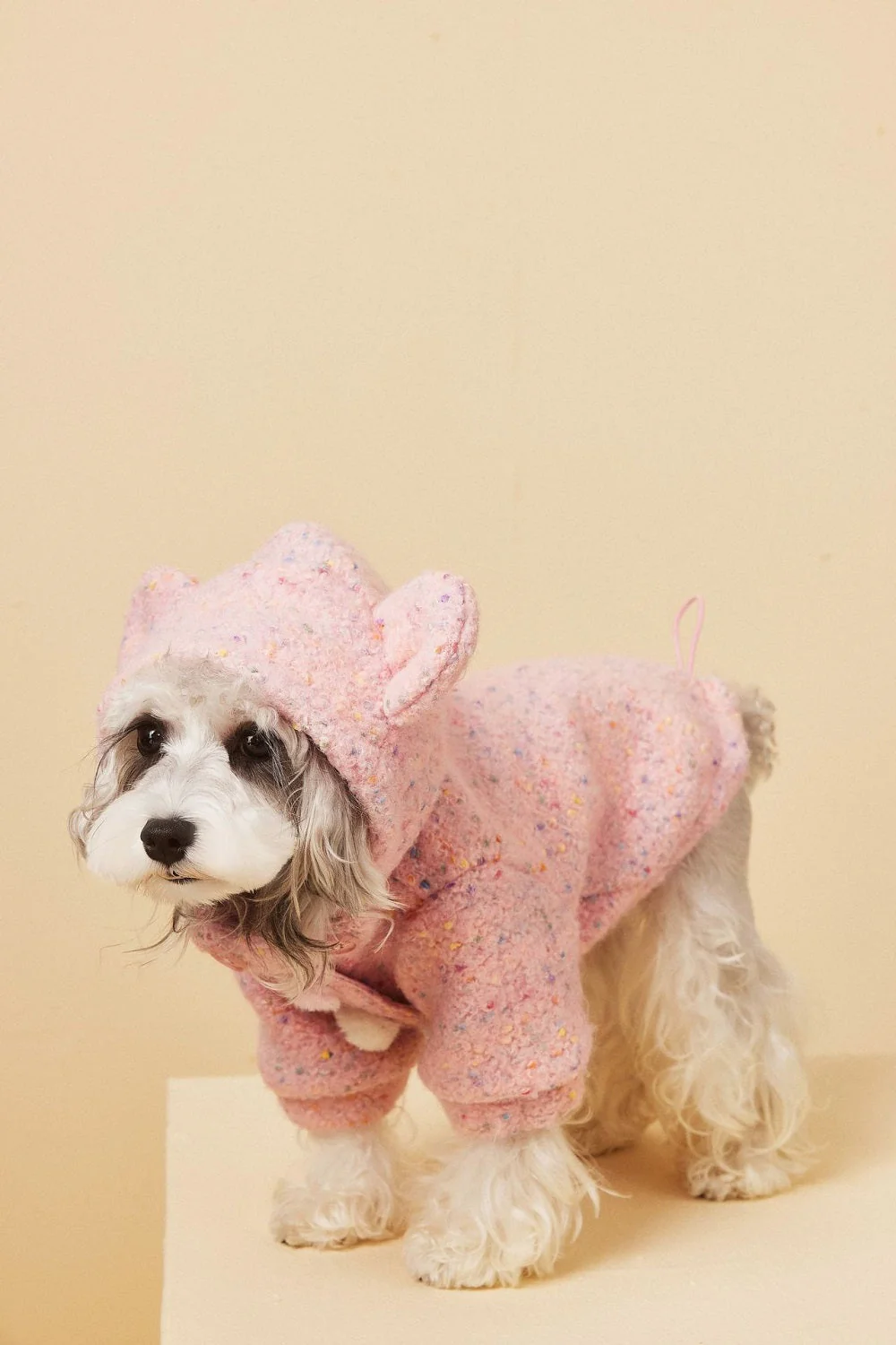 Cozy Knit Dog Sweater - Image 9