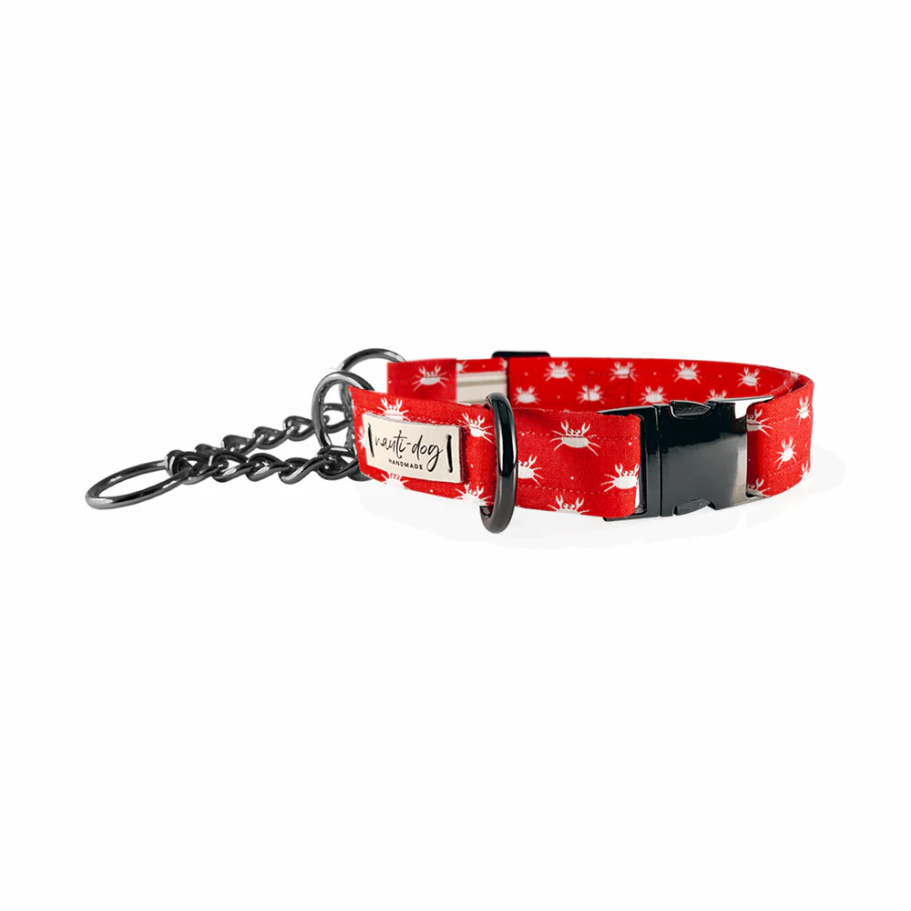 Crabby Red Maryland Crab Coastal Buckle & Martingale Dog Collar - Image 2