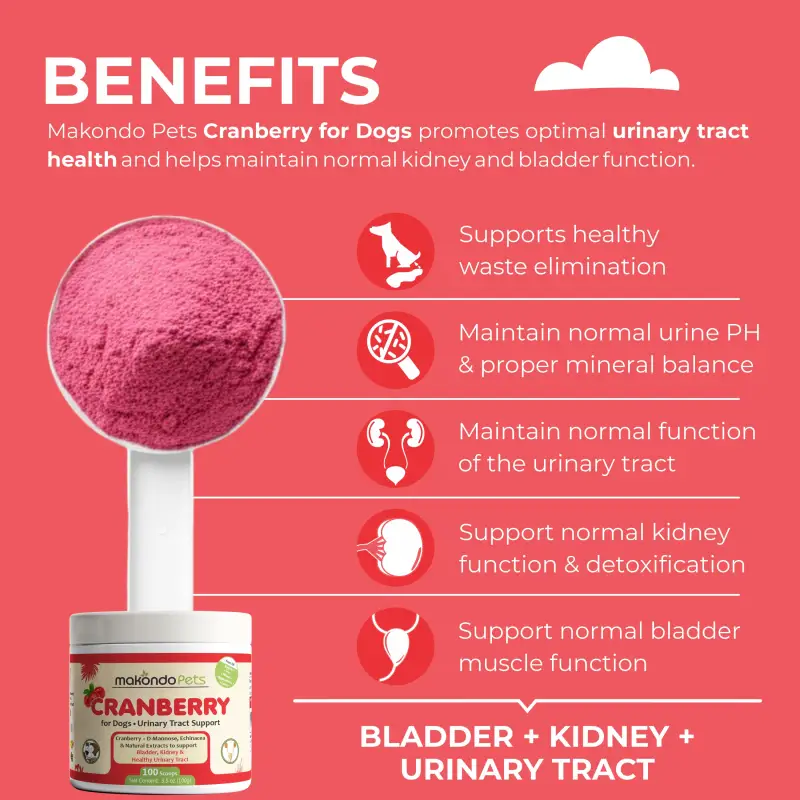 Cranberry for Dogs. Urinary Tract Support. 100 Scoops - Image 2