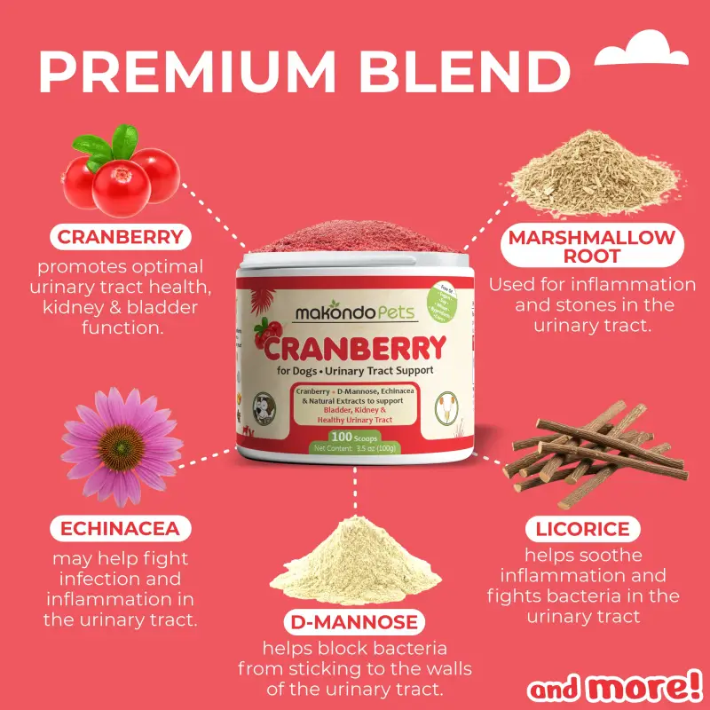 Cranberry for Dogs. Urinary Tract Support. 100 Scoops - Image 3
