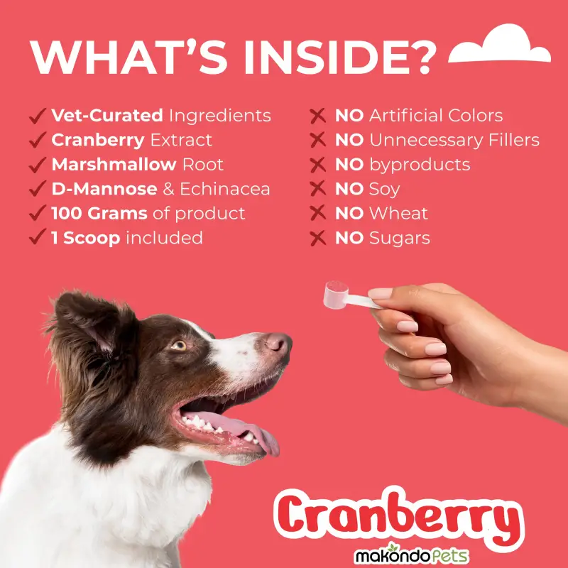 Cranberry for Dogs. Urinary Tract Support. 100 Scoops - Image 4