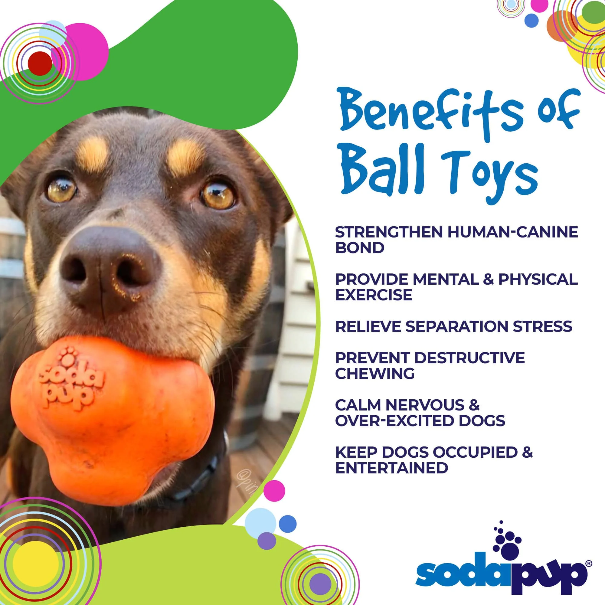 Crazy Bounce Rubber Dog Chew Toy for Power Chewers | Retrieving Ball | USA Made - Image 4