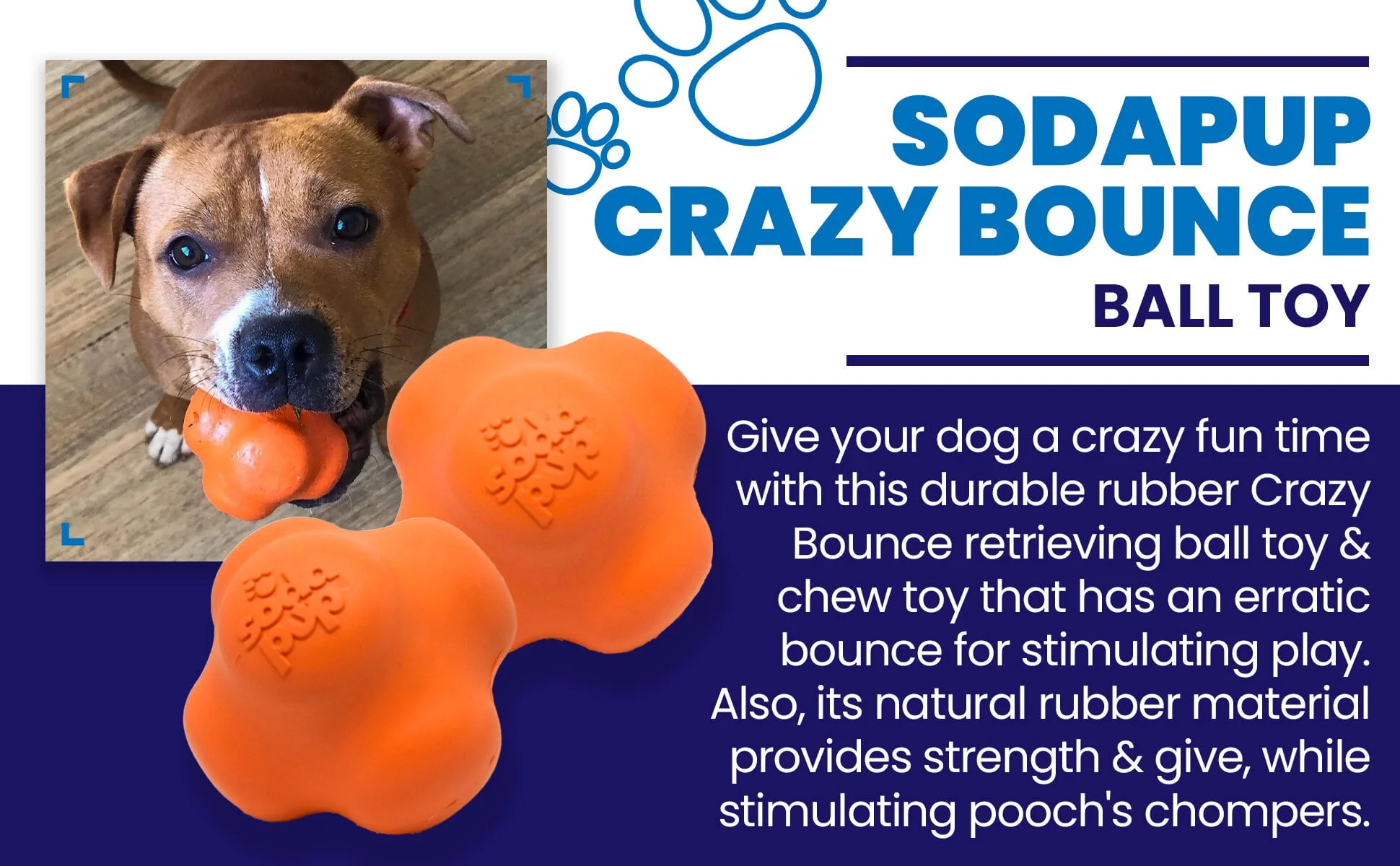Crazy Bounce Rubber Dog Chew Toy for Power Chewers | Retrieving Ball | USA Made - Image 6